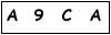salt-5F00CF95