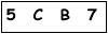 salt-287C56D2