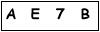 salt-9ED872EA