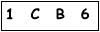 salt-6CF78B02