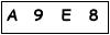 salt-0E2D056A