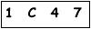 salt-557D2982