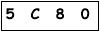 salt-879F8E1C