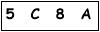 salt-6286E2A8