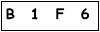 salt-F9585621