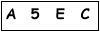 salt-29B86D1E