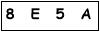 salt-13A4B393