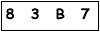 salt-3066B830