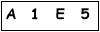 salt-393A6368