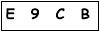 salt-358C2697