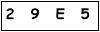 salt-DD8A0089