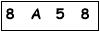 salt-479D59D3