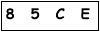 salt-5583A3D2