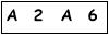 salt-9034D2B4