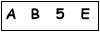 salt-095D8879