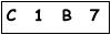 salt-69B19906