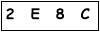 salt-4DED8A08
