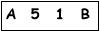 salt-BB9A5431