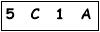 salt-25CD5354